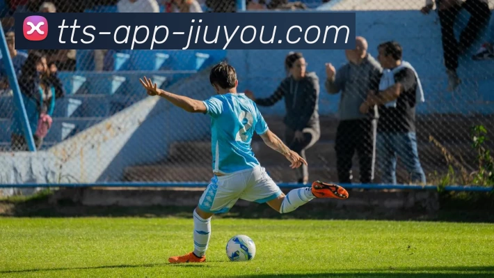 九游体育官网平台生态图